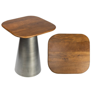 Skye 18" Modern Rustic Wood/Metal Accent Table